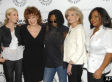 Is Elisabeth Hasselbeck Too Dumb to Be on <i>The View</i>?