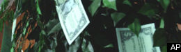 Arianna Huffington: Announcing HuffPost Green: Our New Eco-News and Opinion Section