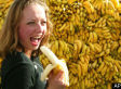 Why Bananas are a Parable For Our Times