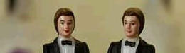 Robin Tyler: My Big Fat Jewish Lesbian Wedding