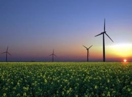 Tom Friedman calls for green revolution