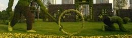 Beijing Olympic Gardens (PHOTOS)