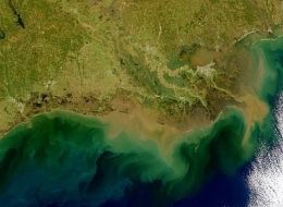 s GULF OF MEXICO DEAD ZONE large jpg