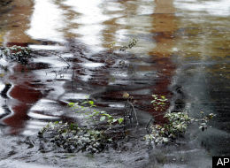 Oil Spill Mississippi