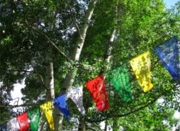 Flags