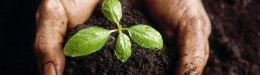 Composting: Indoors Or Out, You Can Cut Down On Waste