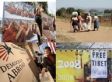 U.S. Election Gets Global Community Talking About What Needs To Happen In America