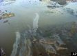 Hurricane Ike Ravaged The Environment: Investigation