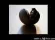 Anti-ACORN Messages Threaten Staff and Obama (AUDIO)