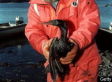The Oil Still Polluting Alaska, 20 Years After Exxon Valdez (VIDEO)