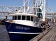 Struggling U.S. Shrimpers Look for Vision from Next President