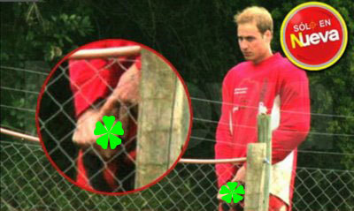 Prince William Penis Picture 33