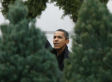 Obama Family Goes Christmas Tree Shopping (PHOTOS)