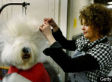 Caption This Photo; Vote For Yesterday's Best; See Monday's Winner!