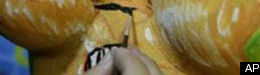 Brazil's Best Job: Painting Nude Carnival Models