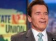 Schwarzenegger To Play Self In Stallone Movie