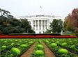 White House Watermelon Email From California Mayor Dean Grose Inspires Outrage