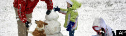 Winter Snow Storm Photos: SLIDESHOW