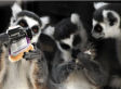 Caption This Photo, Vote For Monday's Best, See Friday's Winner!
