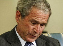 Bush