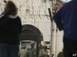 The Horror and Hope of Zimbabwe: Roy Bennett Jailed, Released, and Forgives