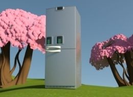 Fridge