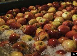 Apples