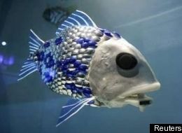 Robotic Fish