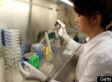 Doctors May Soon Be Able To Repair Bones With Simple Stem Cell Shot