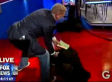 David Buckner Faints, Passes Out Live On 