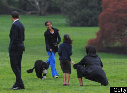 Obama Dog