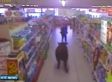 Bull In Irish Store Causes Chaos (VIDEO)