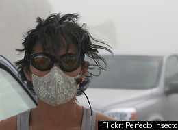 Dust Mask