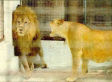Eight Tips For Conquering Anger And Irritability