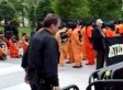 Anti-Torture Protesters Arrested In Droves Outside White House (VIDEO)