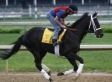 I Want Revenge Scratched From Kentucky Derby 2009