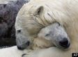 Obama Administration Will Stick With Bush Climate Ruling