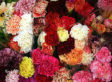 Why We Can Never Do Enough for Mother's Day (No Really, We Can't)
