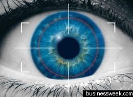 britain, british identity data, fbi, identity data, international database, iris data, palm and finger prints