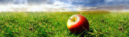 David H. Murdock: A Recipe For Longevity: 33 Of The Healthiest Foods On Earth