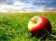 A Recipe For Longevity: 33 Of The Healthiest Foods On Earth