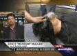 Olbermann, Mancow Interview: Mancow Discusses Being Waterboarded (VIDEO)