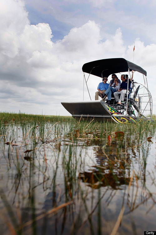 Airboat Rides Everglades