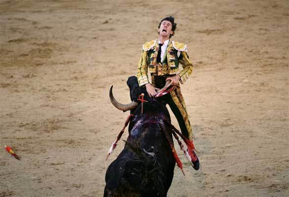 Bullfighting Video