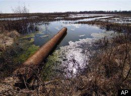 Maker Of 'Fuel' Documentary Promotes Algae Energy