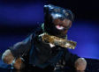 Triumph The Insult Comic Dog Skewers Bonnaroo: More Stages Than Syphilis