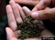 Exclusive Excerpt: <i>This Is Your Country On Drugs</i>