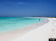 A Surprise Way to Keep Our Beaches Clean: Pass a Climate Bill