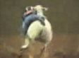 Mutton Busting: Children Ride Sheep Till They're Thrown Off In Kids Version Of Rodeo (VIDEO)