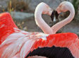 The Tao of Dating: 5 Principles to Overcome Any Challenge in Your Love Life
